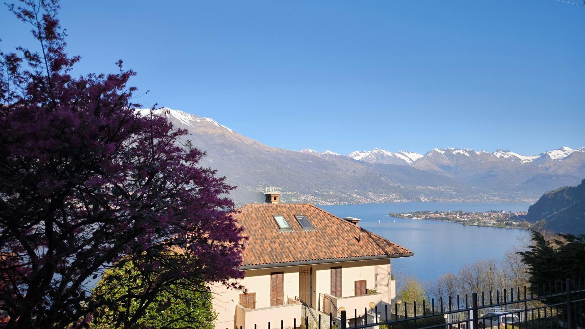 Apartment With Garden And Terrace Beautiful Lake View Bellano Exterior foto